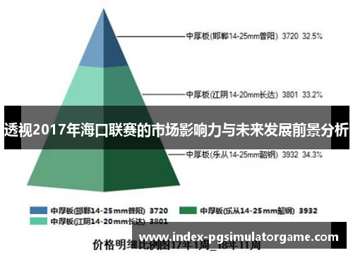 透视2017年海口联赛的市场影响力与未来发展前景分析