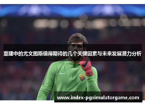 重建中的尤文图斯值得期待的几个关键因素与未来发展潜力分析