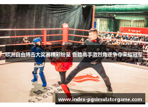 欧洲自由搏击大奖赛精彩纷呈 各路高手激烈角逐争夺荣耀冠军