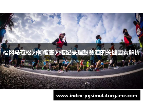 福冈马拉松为何被誉为破纪录理想赛道的关键因素解析